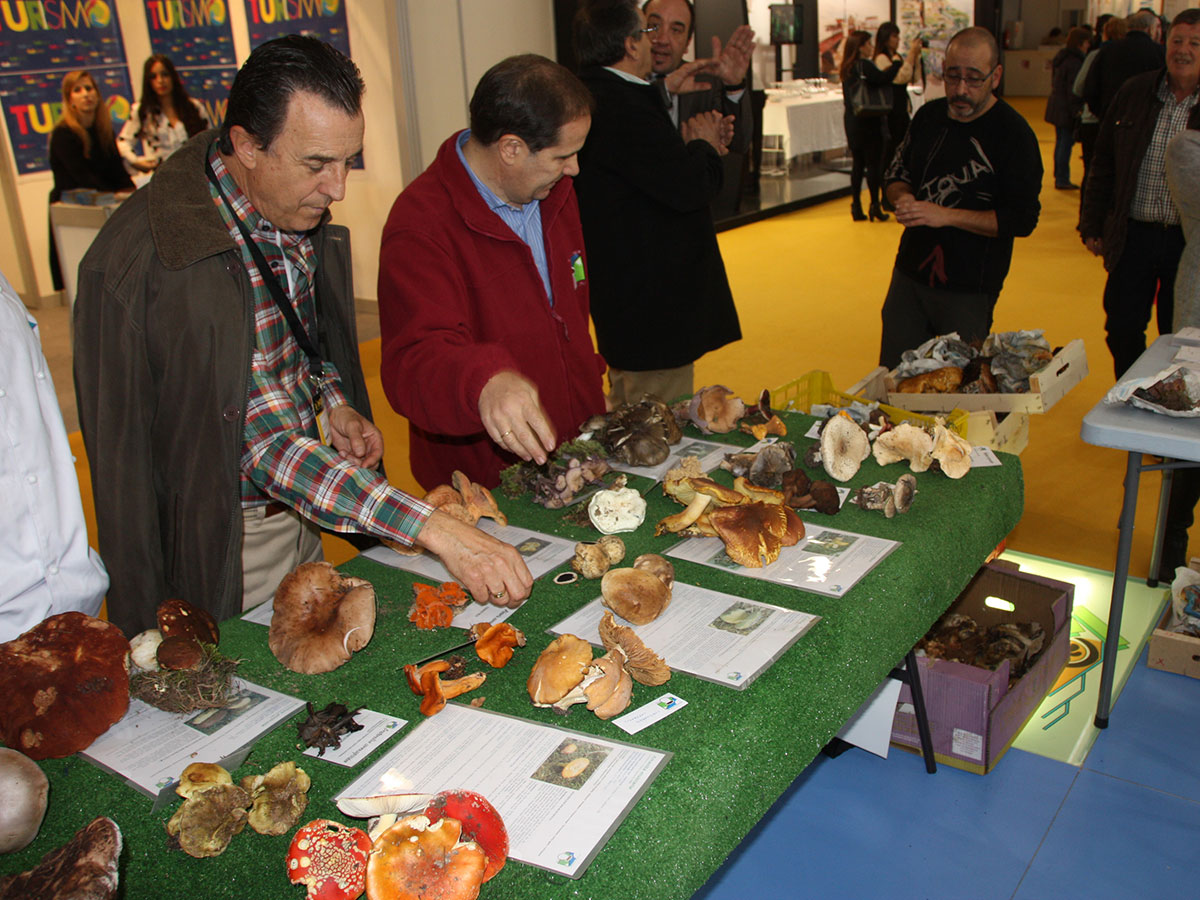 Montando mesa micológica,Intur 2014 junto a Aurelio García Blanco