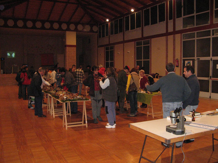 VI jornadas micológicas, Noviembre 2006.