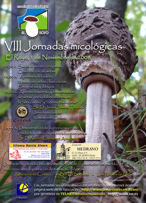 Cartel de las VIII J. Micológicas 2008