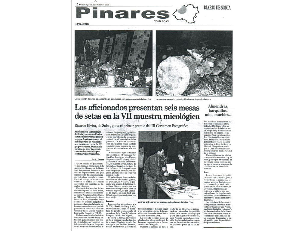 DIARIO DE SORIA PINARES 31 de Octubre de 1999.